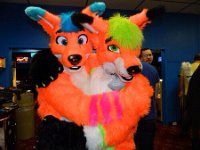 DE Furbowl 52